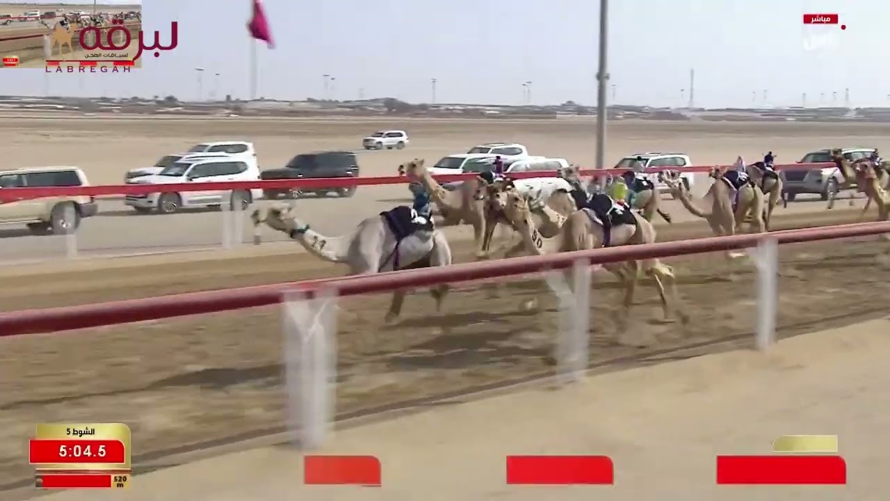 ش5 لحون لـ حمد عبدالله راشد القرح (مهرجان ختامي الوثبة 01-03-2026) حقايق بكار 5:43:69