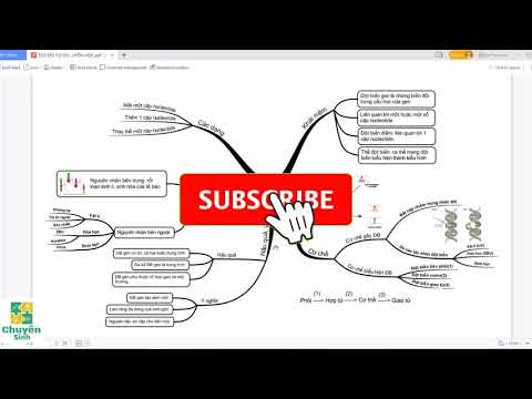 Sơ đồ tư duy đột biến gen - Sinh học 12 - youtube