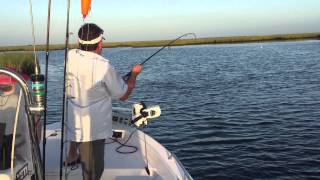 Red fishing in Shell Beach LA with CaptainJack