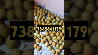 Ratnagiri Hapus| Alphonso Mango| Mango
