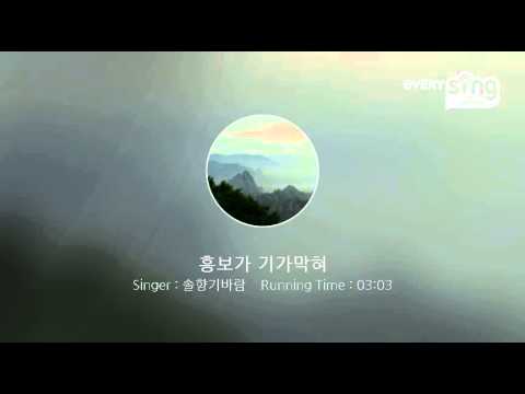 [everysing] 흥보가 기가막혀