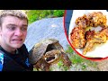 SNAPPING TURTLE! (Catch Clean Cook)
