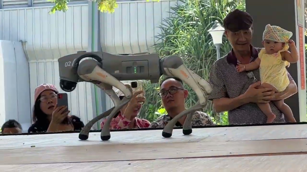 gia đình Lusubu đi chơi tại Silver Beach Resort Kê Gà - Dino world Phan Thiết - mini Safari 