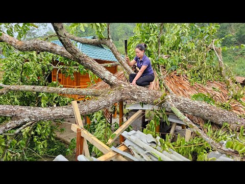 90 Days: Harvest Duck Eggs, Luffa, Jackfruit, Vegetables, Star apple Go to market sell | Farm life