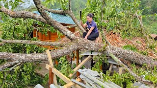 90 Days: Harvest Duck Eggs, Luffa, Jackfruit, Vegetables, Star apple Go to market sell | Farm life