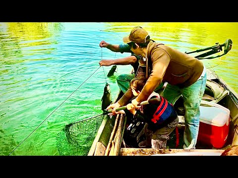 Catching catfish on a trot line!