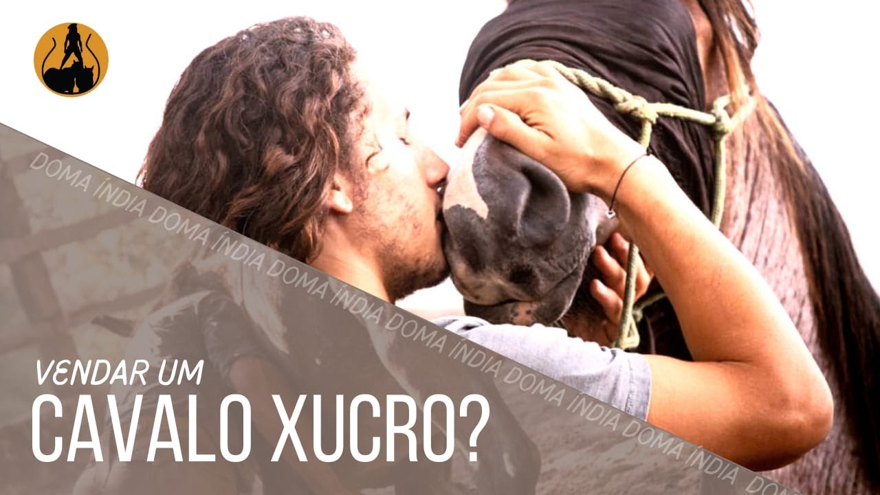 COMO CONQUISTAR A CONFIANÇA DE UM CAVALO XUCRO  - Doma índia com Guto Petry