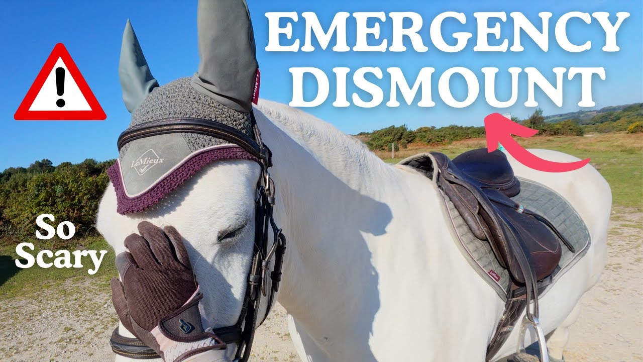 Play: Emergency Dismount from My Horse!: a calm, wholesome countryside ride-along