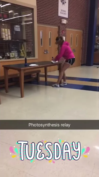 Photosynthesis Equation Relay