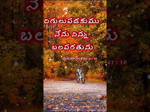 నేను నిన్ను బలపరుతును // iam your savior #amen #jesus #jessica