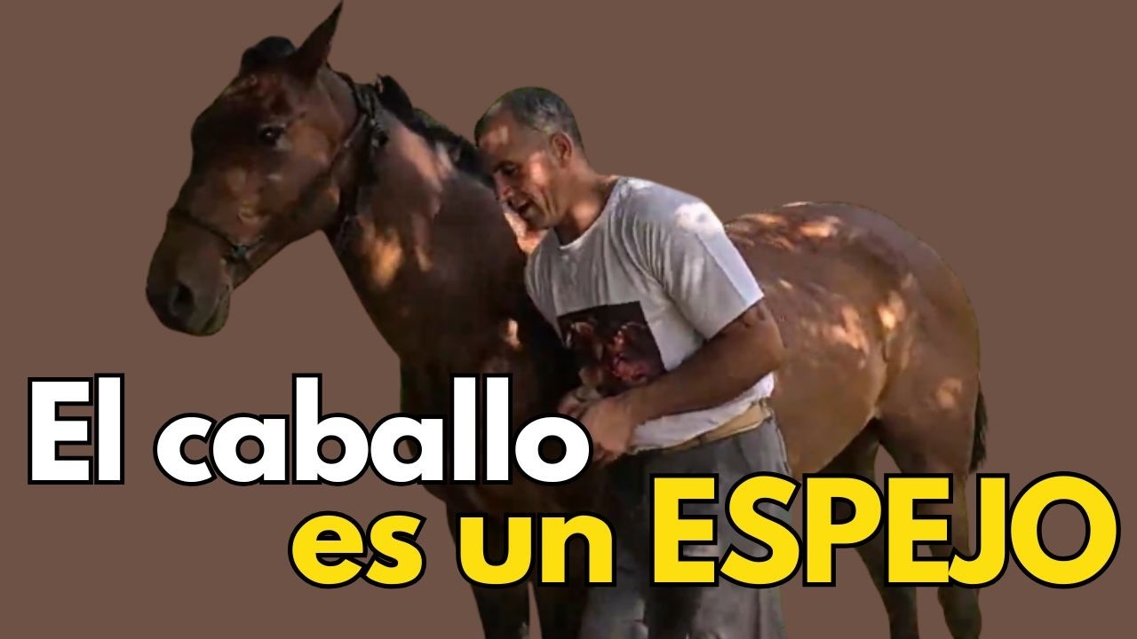 el caballo espeja el estado de ánimo del domador
