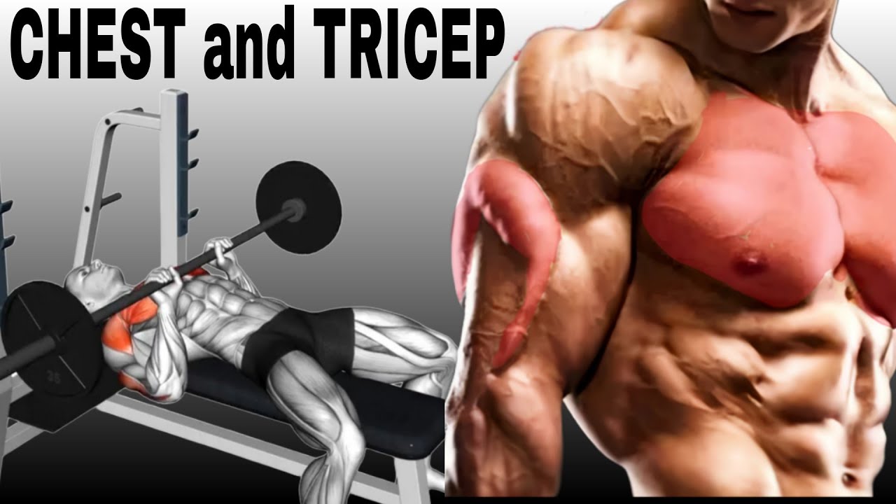 Big Chest and Perfect Tricep at gym ( Bulking) YouTube