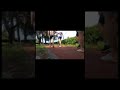Modern Humans Stopped Walking#shorts #walking #health #science#humanbody #documentary#theinfovault