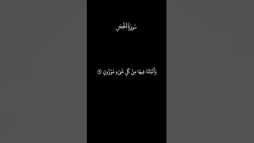 تلاوة عطرة من آيات الذكر الحكيم
