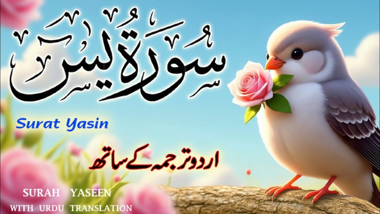 Surah Yaseen Urdu & Hindi Translation | Spiritual Tilawat by Qari Ismail Al Nouri | Episode 360