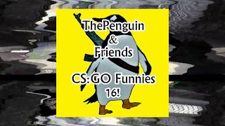 Thepenguin Friends - Csgo Funnies 16 Eng Subs