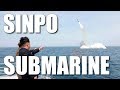 North Korea's Biggest Threat - The Sinpo Class Submarine