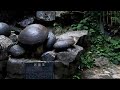 Каменная форма жизни  Каждые 30 лет из горы выходят круглые камни