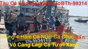 Tàu Cá Lưới Rút Siêu To BTh-99341.TS-Trúng 4 Hầm Cá Ngừ Cả Chục Tấn Khẩm Tàu Về Cảng Lagi Cá Tươi