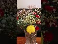 Red Carnation And Chrysanthemum â Josh Sarah Shorts â HalukayTV Red Carnation And Chrysanthemum â Josh Sarah Shorts â HalukayTV