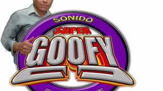 PRESENTACIÓN SONIDO SUPER GOOFY 2018-2019