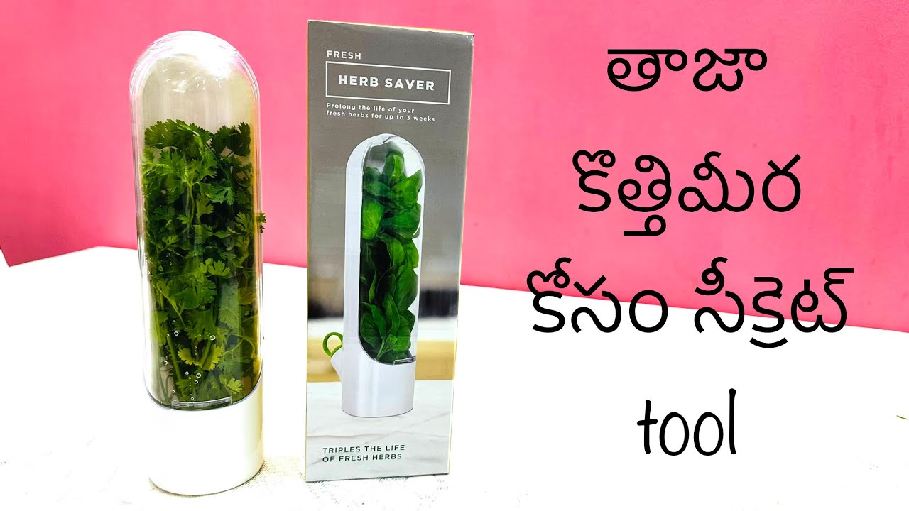 కొత్తిమీర fresh గా ఉంచే tool | HOW TO STORE CORIANDER FRESH | HERB SAVER from AMAZON