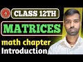 Class 12 Maths Matrix Basics Complete | Important Questions + Concept Clear 💯 | Board Exam 2026