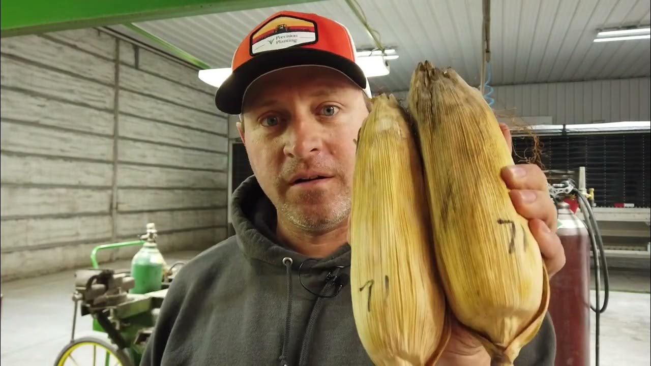 Does Emergence Matter? Precision Planting Emergence Flagging Kit Yield