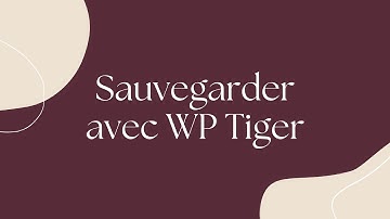 Sauvegarder son site Wordpress avec WP TIGER