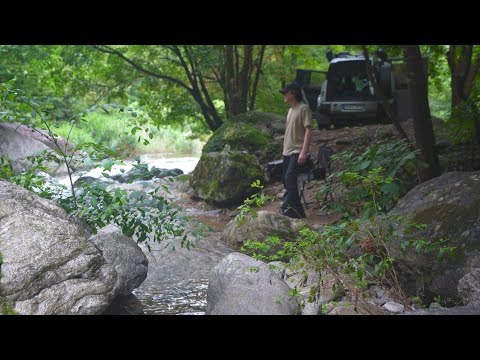 Camping in Nature, the singing of birds in a rainy valley | Land Rover New Defender