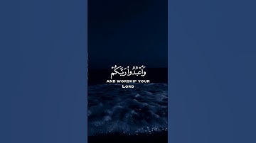 سورة الحج / القارئ / عبد الرحمن مسعد /