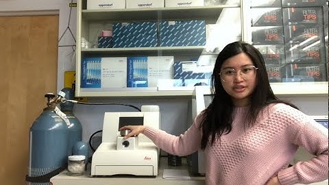 How to Critical Point Dry insect specimens