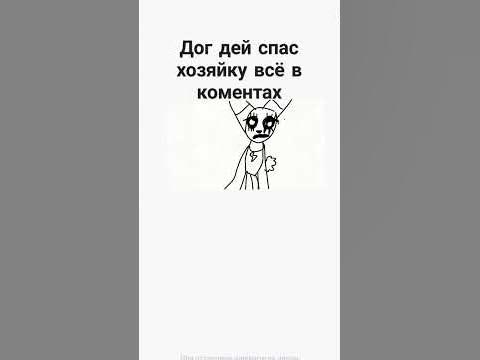 дог дей спас хозяйку - YouTube
