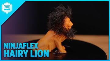 3D Printing a NinjaFlex Hairy Lion - Timelapse Tuesday