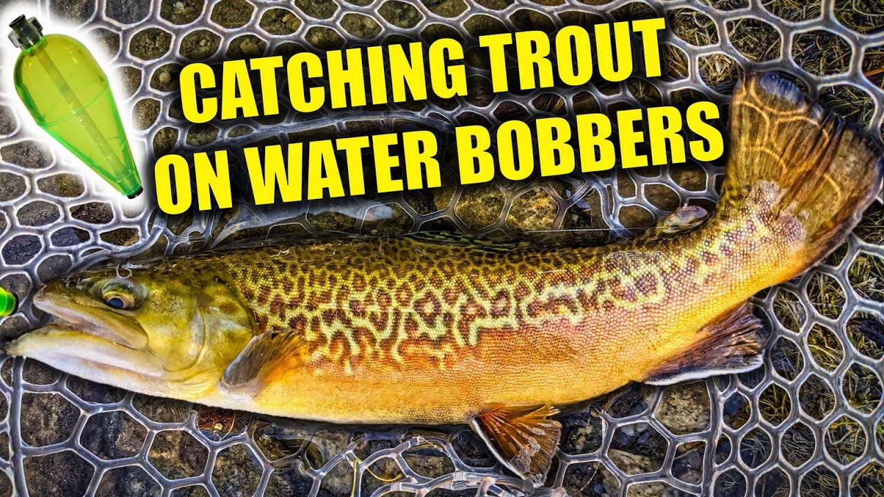 How to Fish Water Bobbers for Trout 