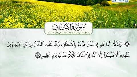 احمد سيد هاشم  ـــ سورة الاحقاف 15 الى 28