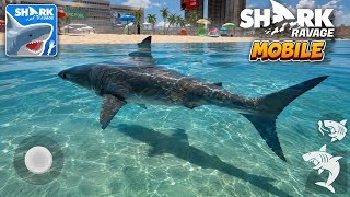 Shark Ravage: Shark Simulator Gameplay Walkthrough Part 1 (iOS, Android) screenshot 2