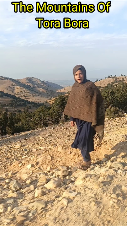 The Mountains of Tora Bora — More Than Just War Stories 🌲🇦🇫 #shorts #shortsfeed