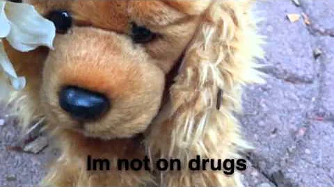 nσt σn drugѕ wєвkínz muѕíc vídєσ