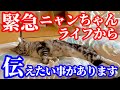 【緊急】皆様にお伝えしたいことがあります！