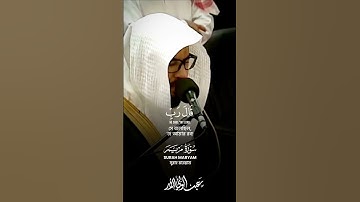 سورة مريم SURAH MARYAM #عبدالولي_الاركاني #abdulwali_alarkani