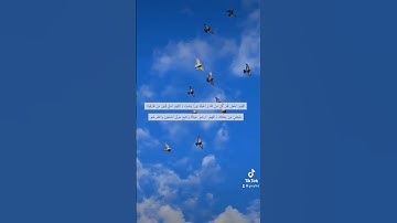 عبدالله الموسى - سورة طه