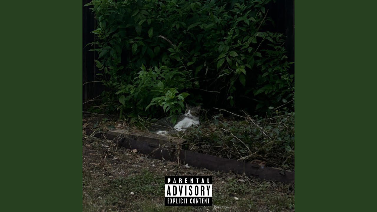 #onmyownanthem (feat. hml4trizz)