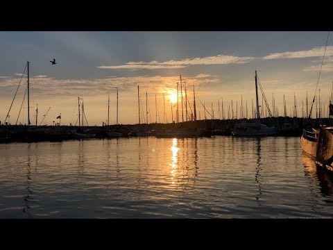 Port of Vlieland | 20200813