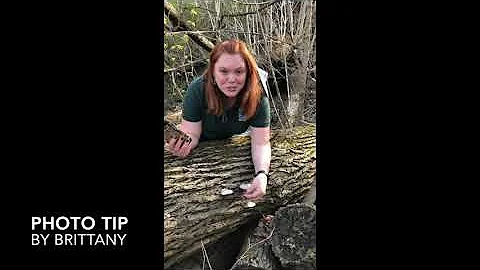 [IndyCNC] Mushroom Tips