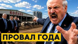 КАТАСТРОФА на фермах!? Беларусь ТЕРЯЕТ коров тысячами! Колхозы НА ГРАНИ!