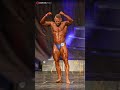 WAF Universe 2025  #bodybuilder #wabba #sports #bodybuilding #olympia #WAF