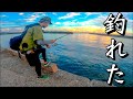 大磯港ルアー縛りで釣りしてみた！嬉しい出会いあり！？