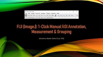 FIJI (ImageJ): 1-Click Manual ROI Annotation, Measurement and Grouping