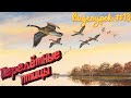 Видеоурок #13 : Перелётные птицы